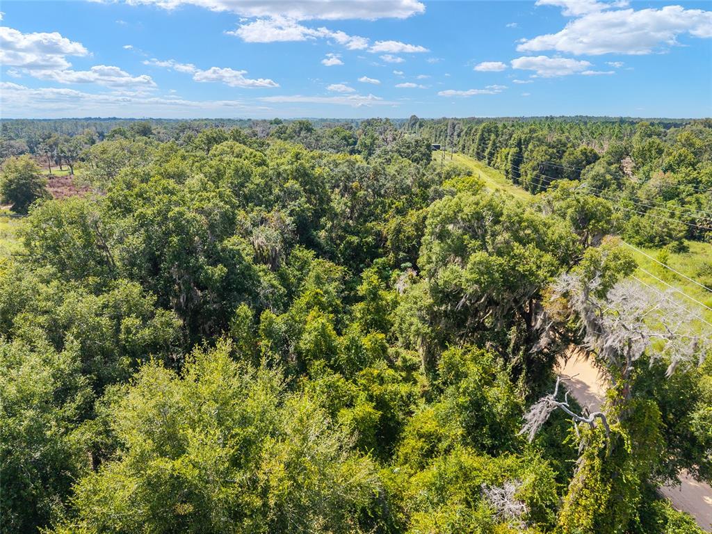 453 Old Hawthorne Road Hawthorne, FL 32640 - Photo 68 of 81