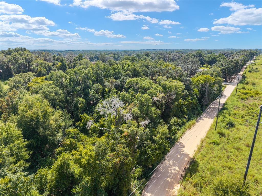 453 Old Hawthorne Road Hawthorne, FL 32640 - Photo 69 of 81