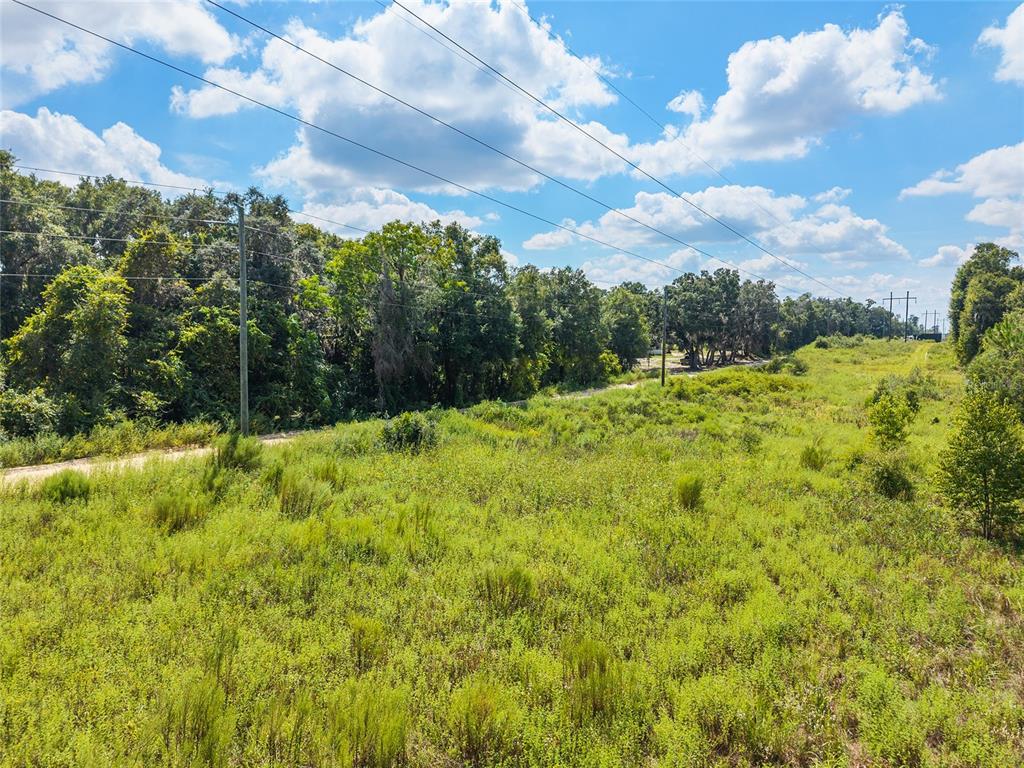 453 Old Hawthorne Road Hawthorne, FL 32640 - Photo 78 of 81