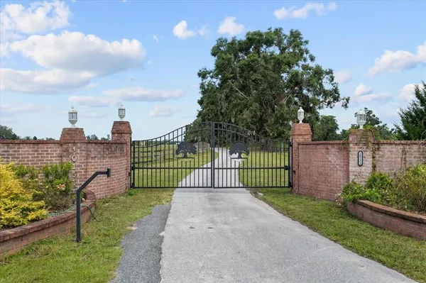 a view of a swimming pool with a patio and plants
