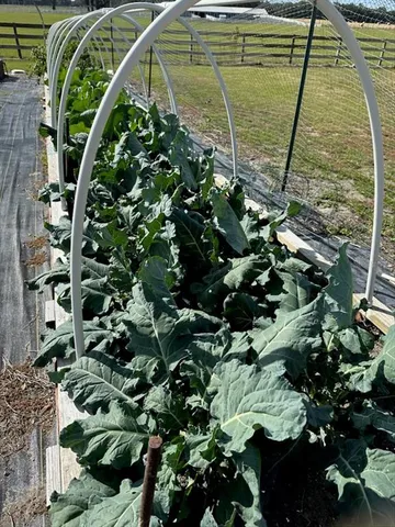 $1,990,000 | 10151 Northwest 70 Street, Chiefland, FL 32626