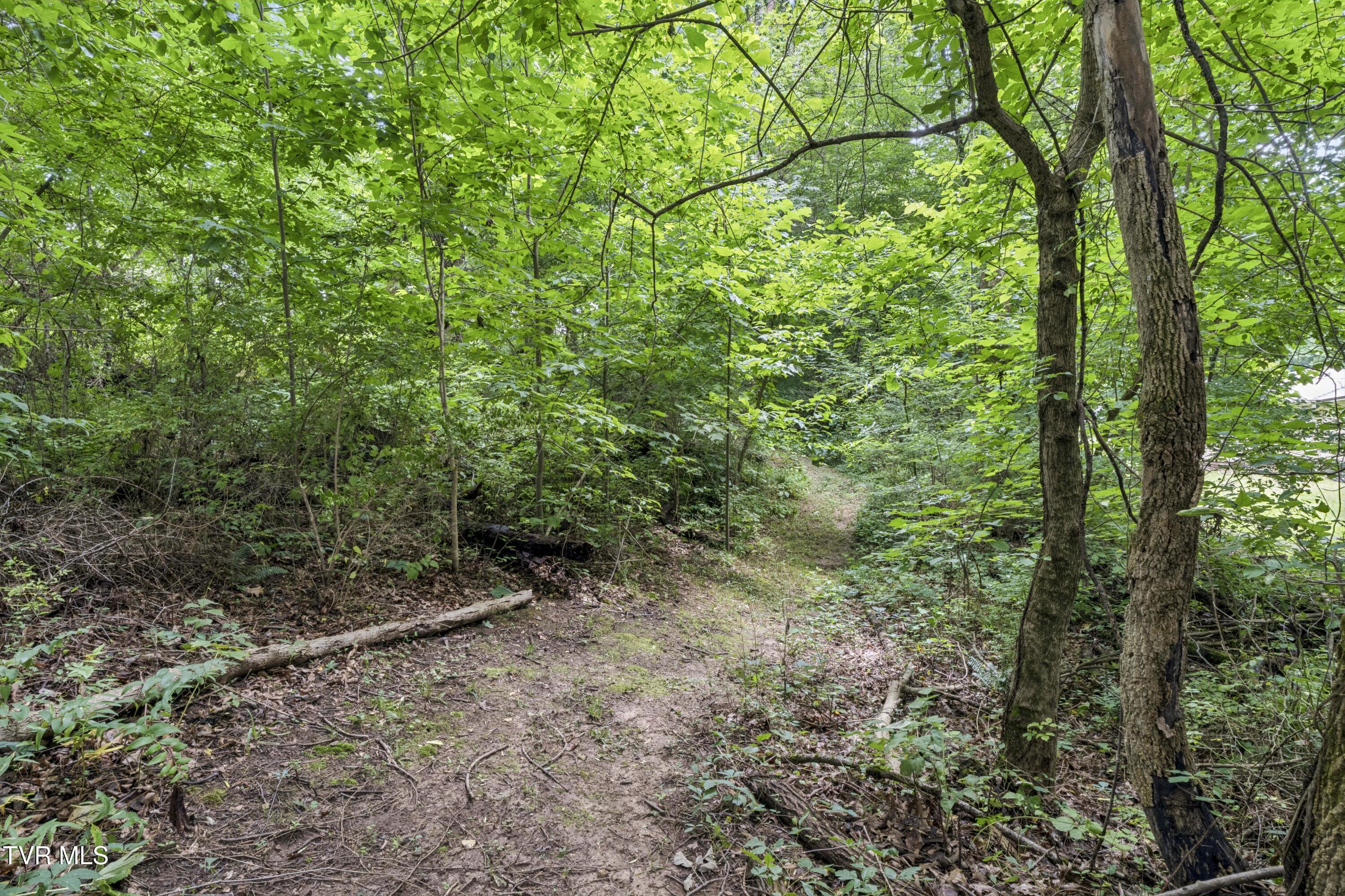 130 Valley Road Telford, TN 37690 - Photo 45 of 65 Valley-44