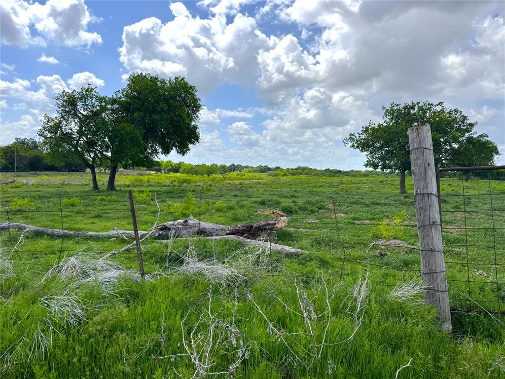 1601 Oak Grove Road East Fort Worth, TX 76140 - Photo 26 of 31 a view of a field with a tree in the background