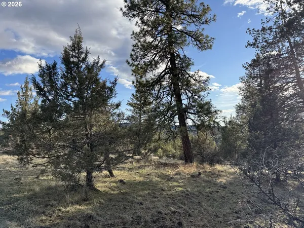 $16,000 | Canvasback Drive, Unit 36, Bonanza, OR 97623