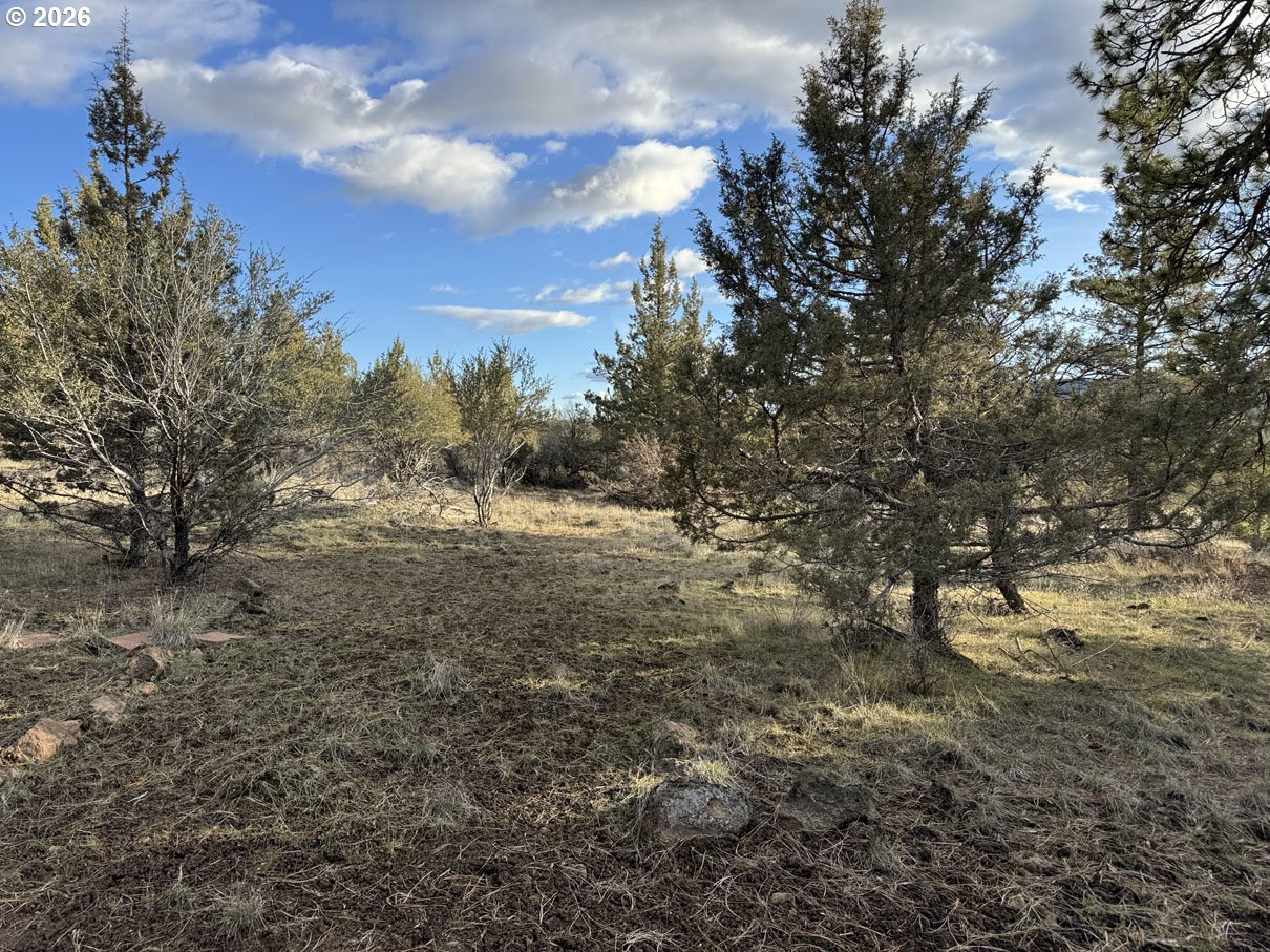 Canvasback Drive, Unit 36 Bonanza, OR 97623 - Photo 23 of 47 a view of mountain view with lots of trees
