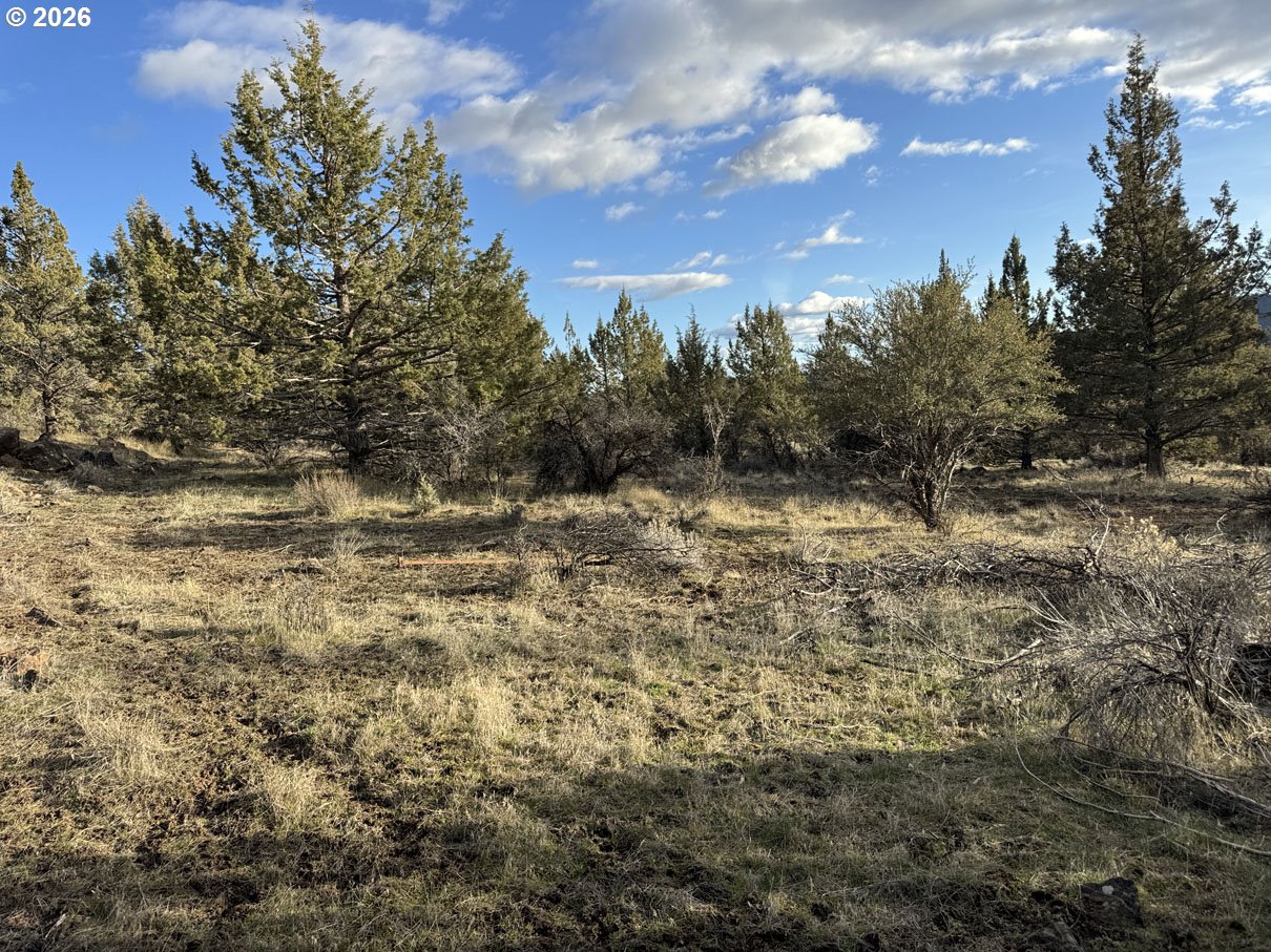 Canvasback Drive, Unit 36 Bonanza, OR 97623 - Photo 28 of 47 a view of a field with trees in the background