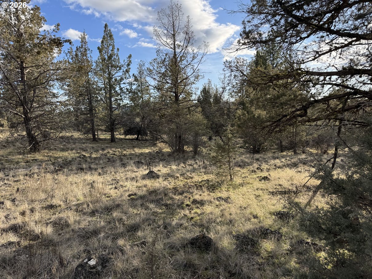 Canvasback Drive, Unit 36 Bonanza, OR 97623 - Photo 3 of 47 a view of a dry yard with trees