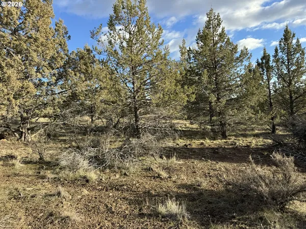 $16,000 | Canvasback Drive, Unit 36, Bonanza, OR 97623