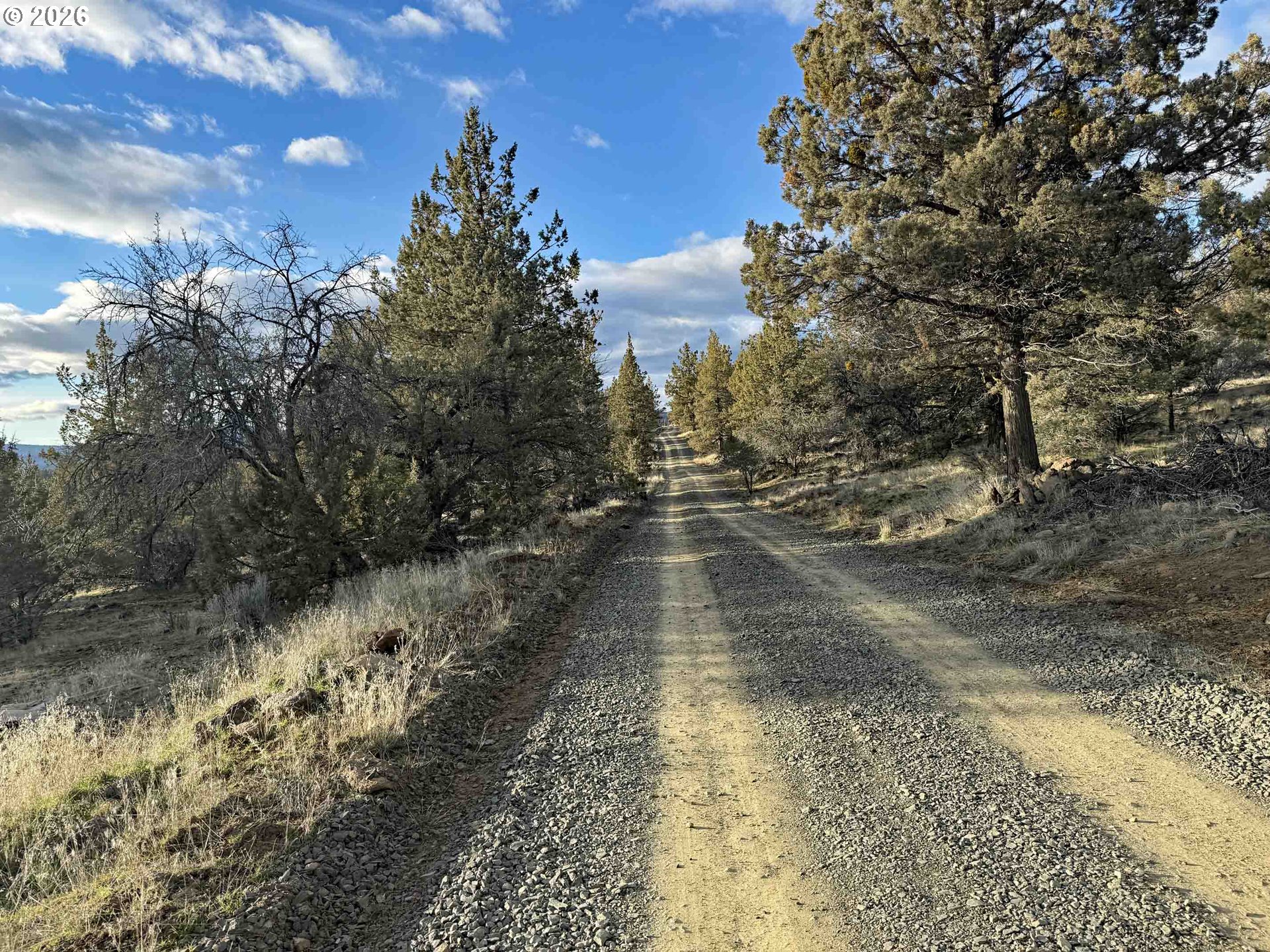 Canvasback Drive, Unit 36 Bonanza, OR 97623 - Photo 38 of 47 a view of a yard with a tree