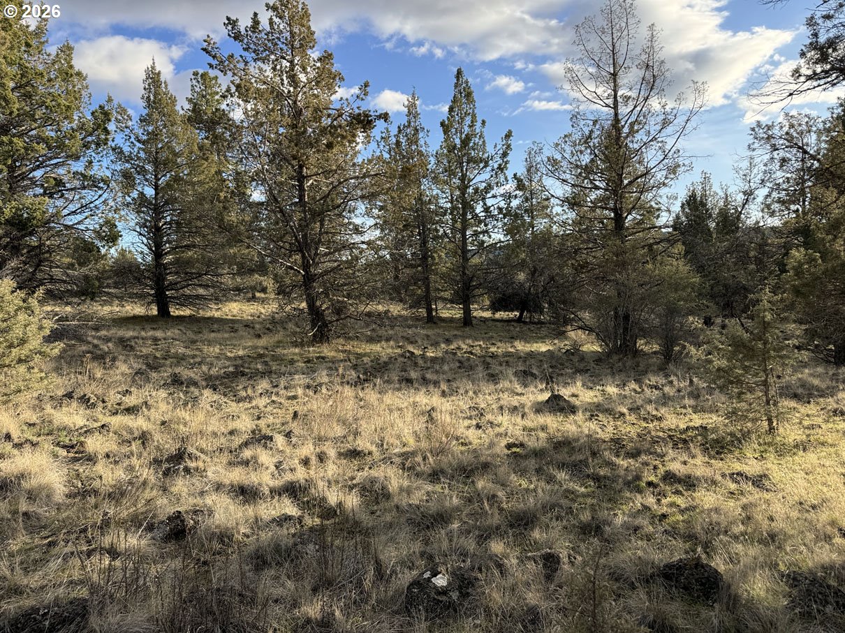 Canvasback Drive, Unit 36 Bonanza, OR 97623 - Photo 6 of 47 a view of a tree in a yard
