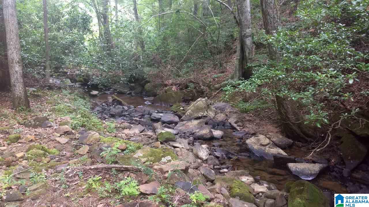 0 Highway 27 Springville Al Springville, AL 35146 - Photo 12 of 12