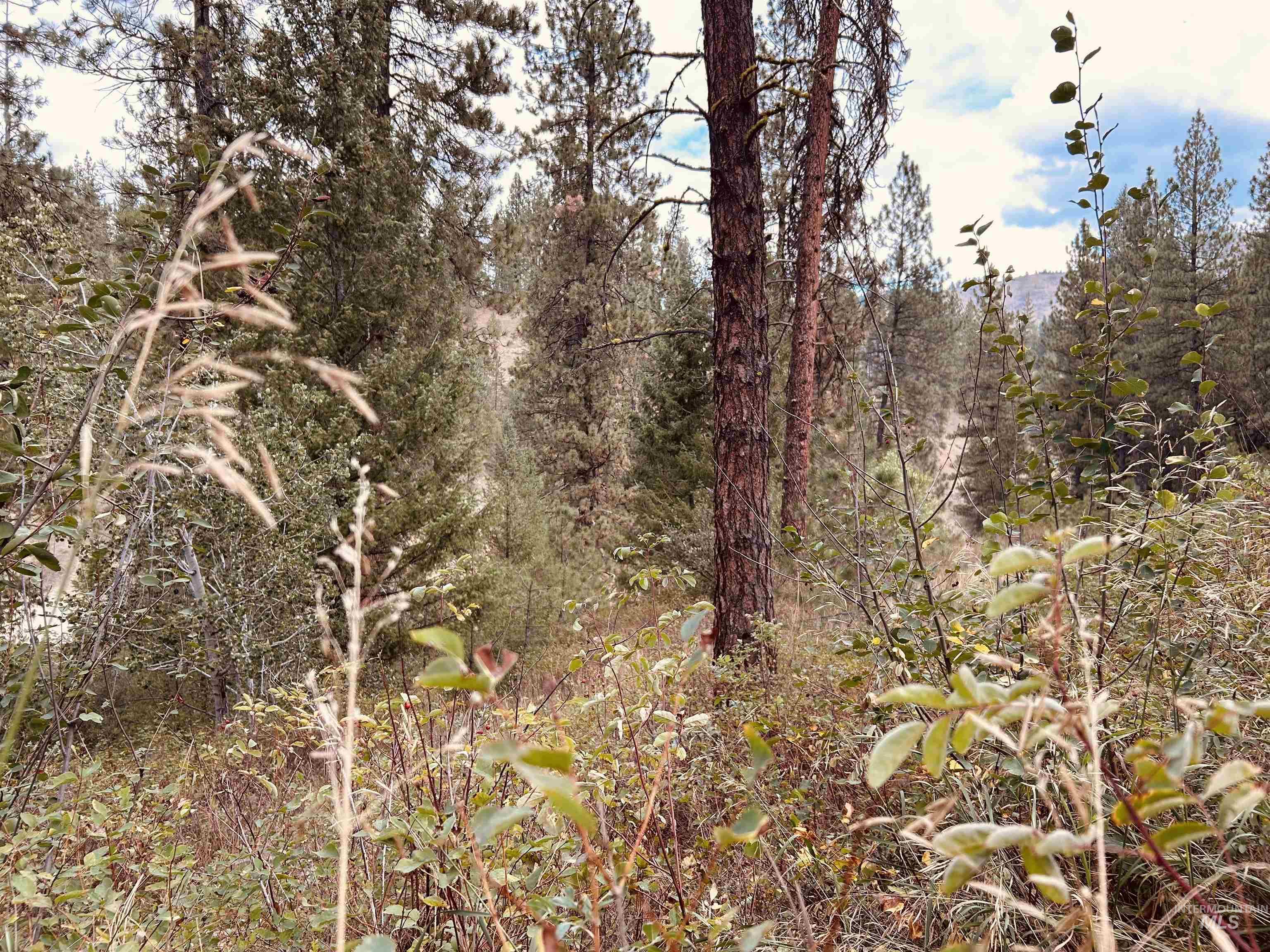 8 Klondike Road Boise, ID 83716 - Photo 9 of 13 Gallery Image 9