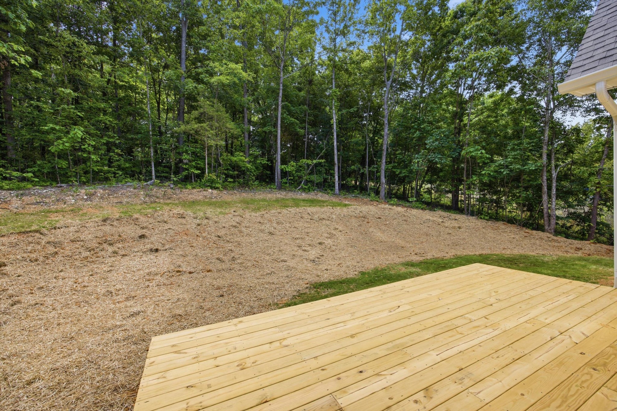 212 Hollow Road Northeast Cleveland, TN 37323 - Photo 48 of 55