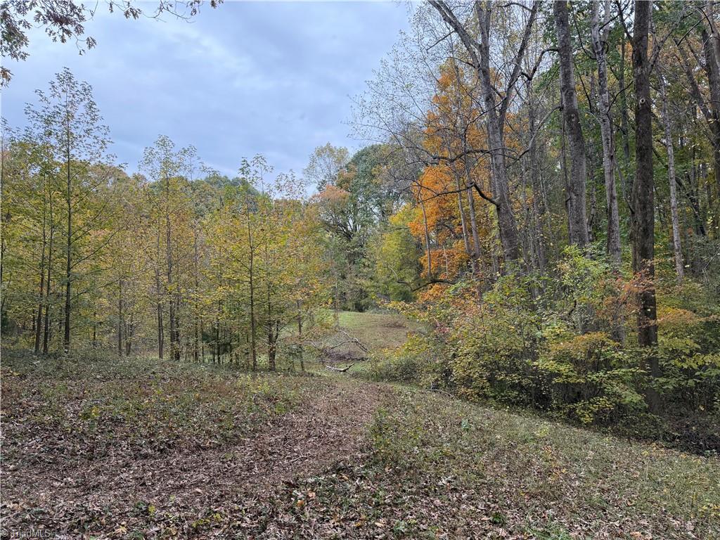 174 Liberty Road Mocksville, NC 27028 - Photo 21 of 27