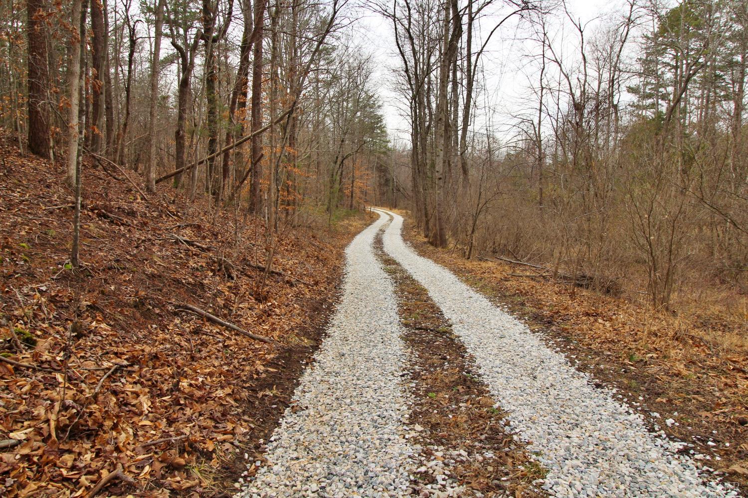 1740 Watt Abbitt Road Appomattox, VA 24522 - Photo 7 of 29 a view of a pathway with a yard