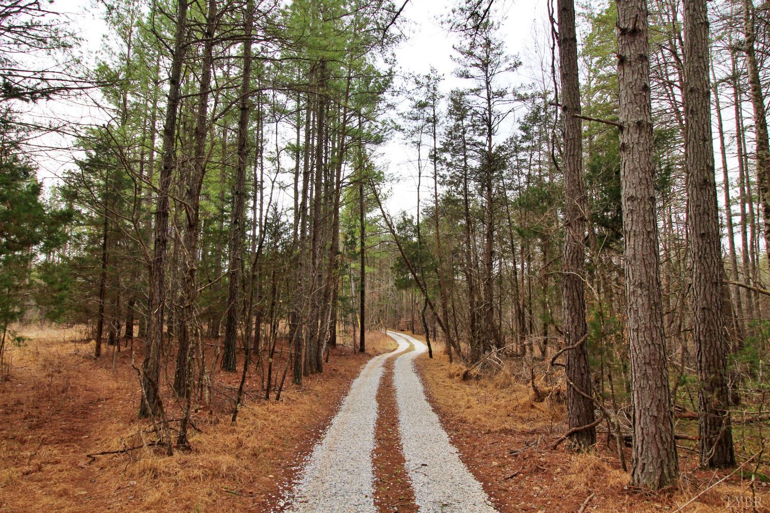 1740 Watt Abbitt Road Appomattox, VA 24522 - Photo 9 of 29 a view of a pathway with a yard