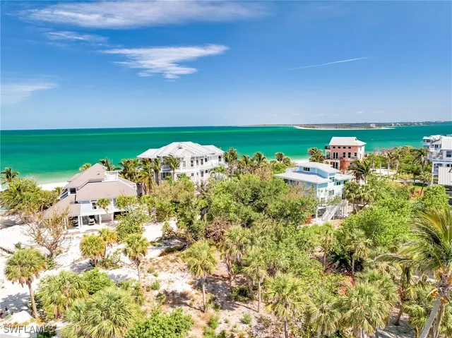 a view of a bunch of flowers