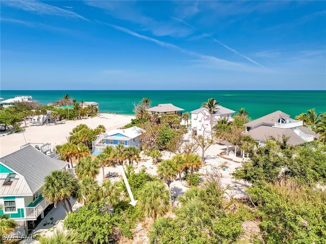 a view of a flower in a garden