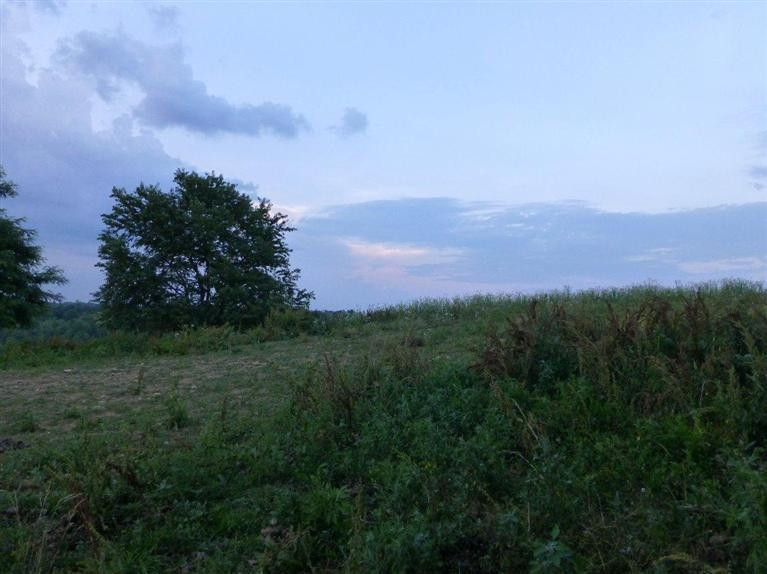 524 Whitlock Road Richmond, KY 40475 - Photo 8 of 9 Photo 8