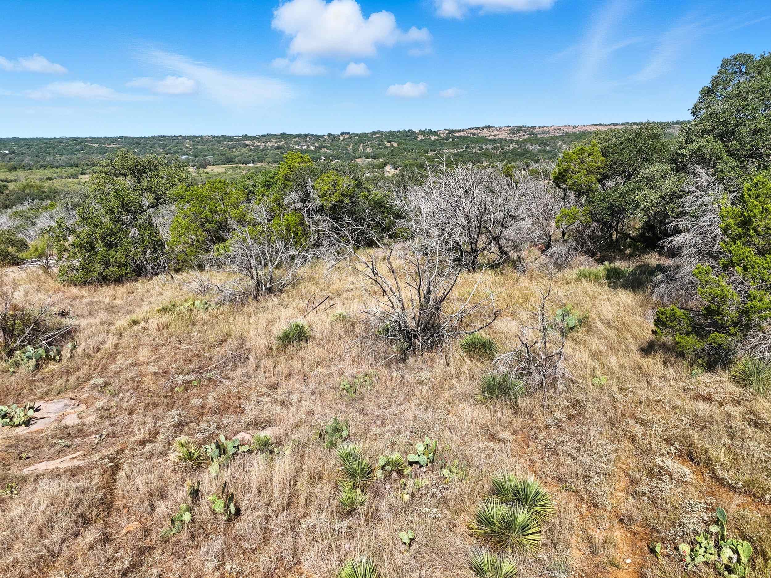 0 Yucca Burnet, TX 78611 - Photo 11 of 21 a view of a field with trees in the background