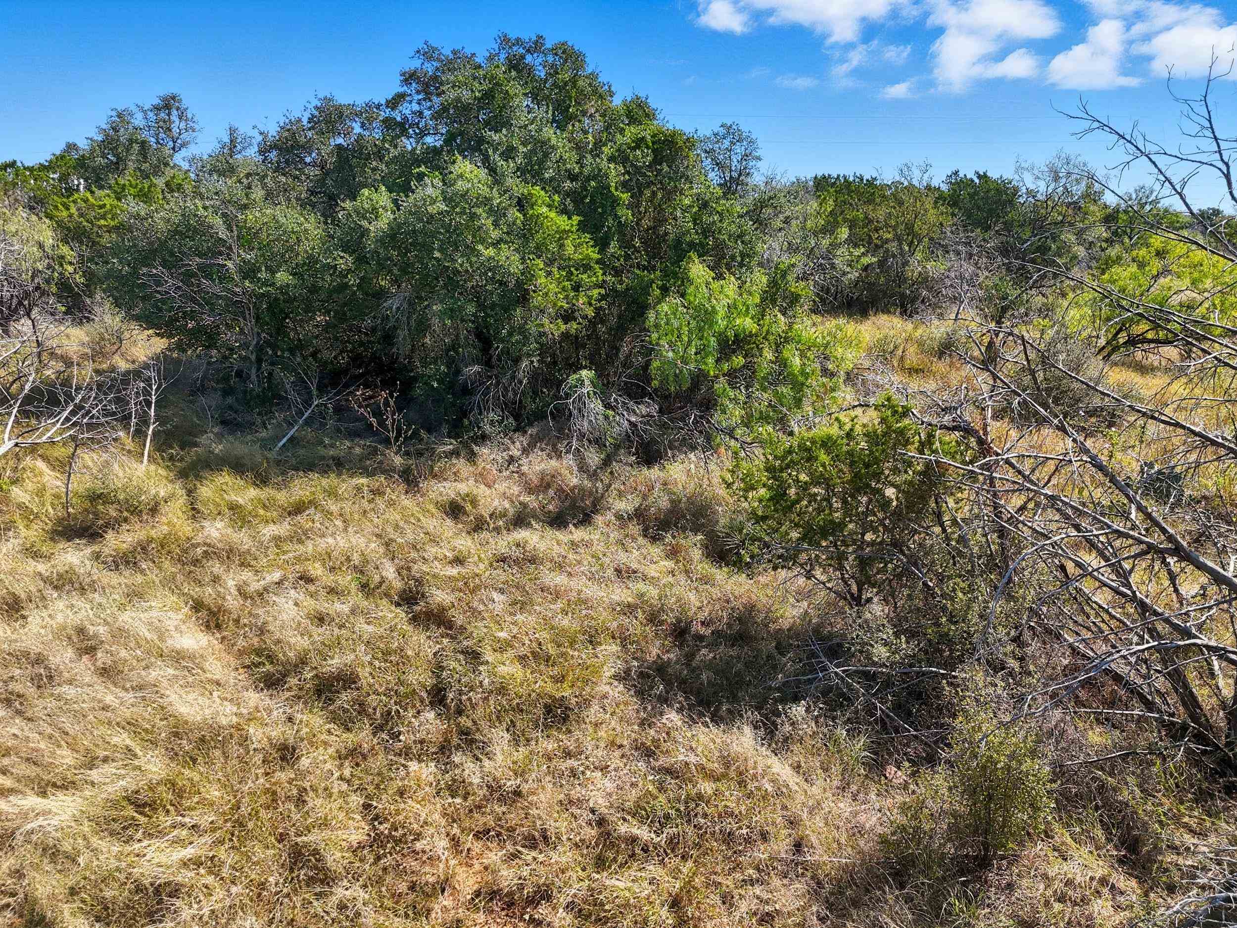 0 Yucca Burnet, TX 78611 - Photo 12 of 21 a view of a yard with a tree