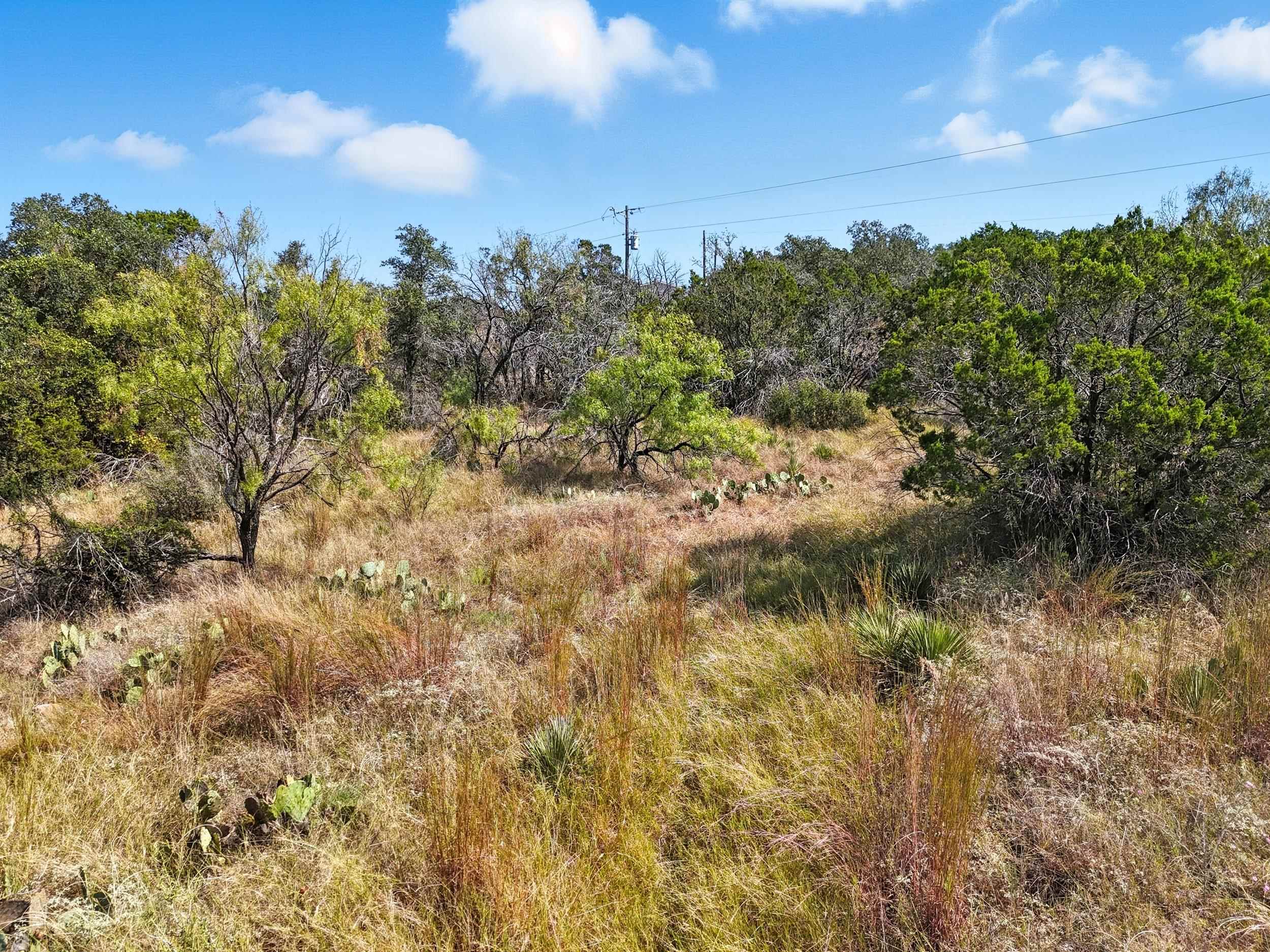 0 Yucca Burnet, TX 78611 - Photo 7 of 21 a view of a yard with a tree in the background