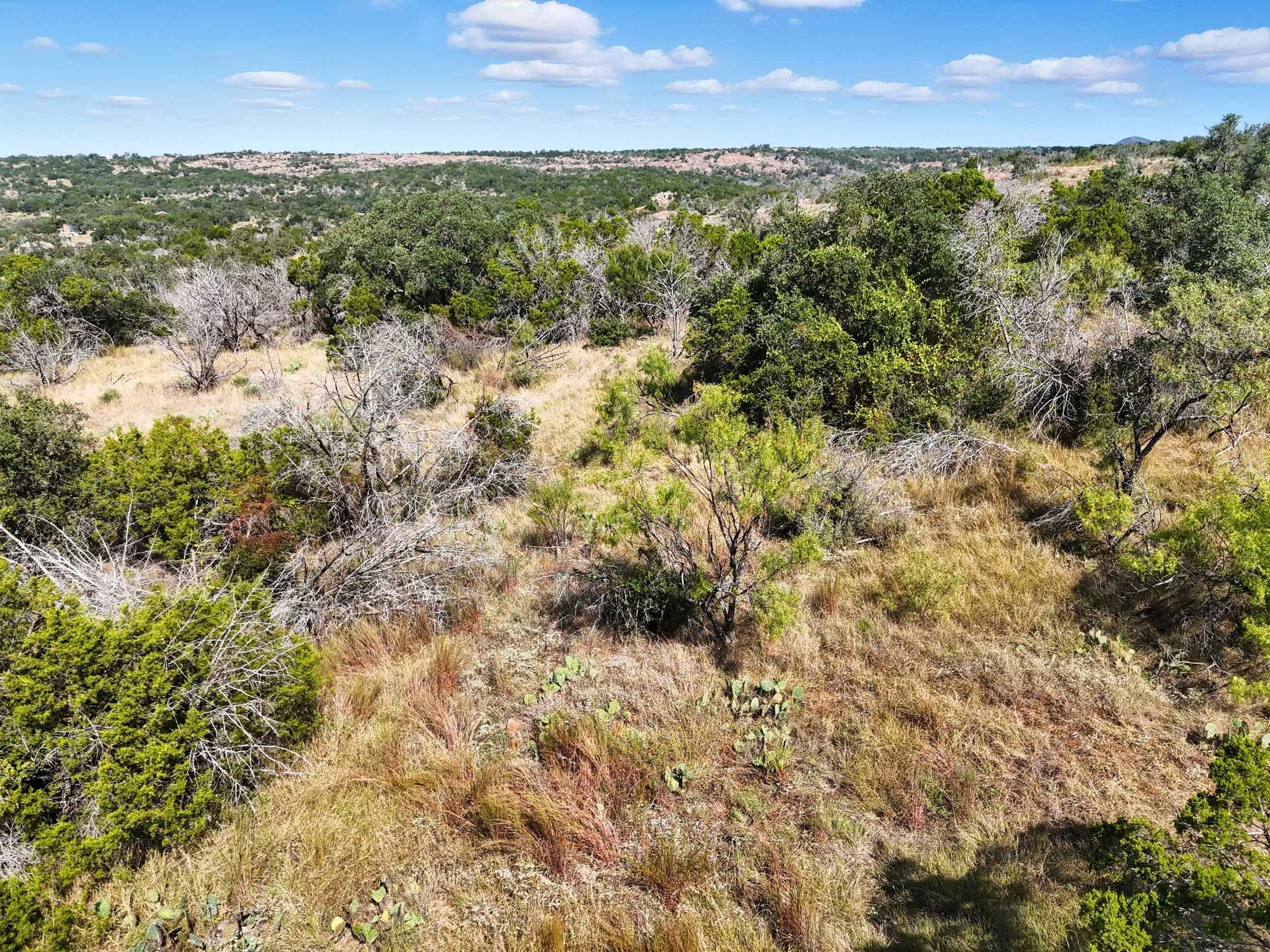 0 Yucca Burnet, TX 78611 - Photo 8 of 21
