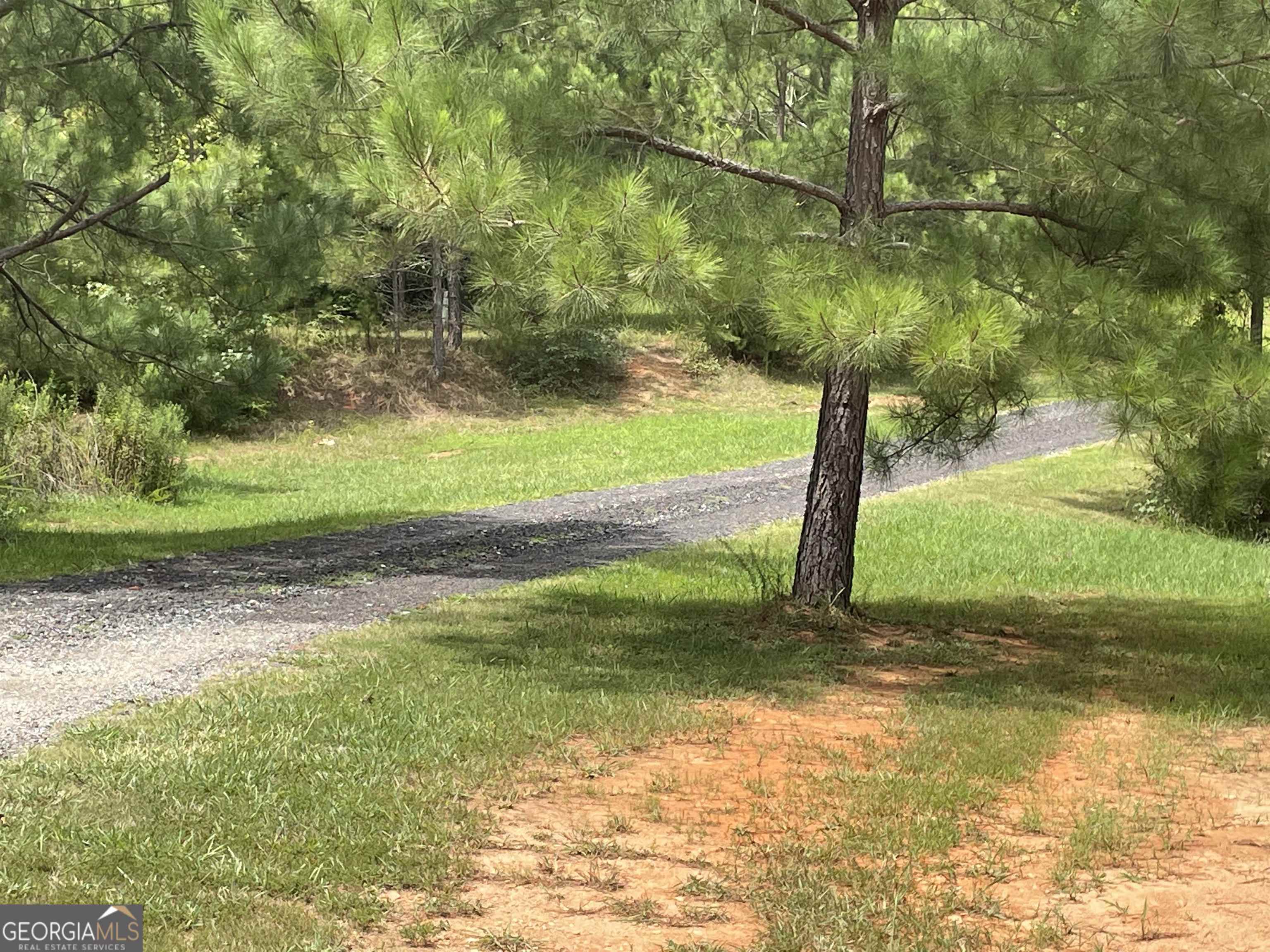 120 Bruce Road Martin, GA 30557 - Photo 1 of 13