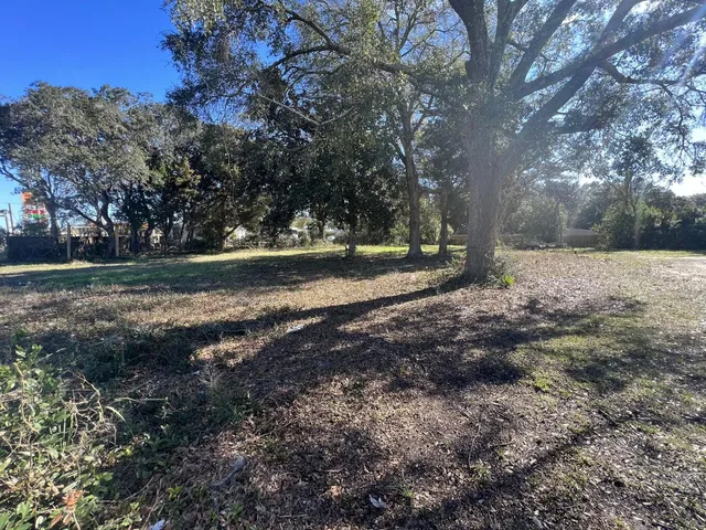 a view of a yard with trees