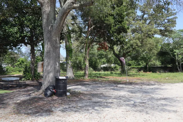 a backyard of a house with lots of trees