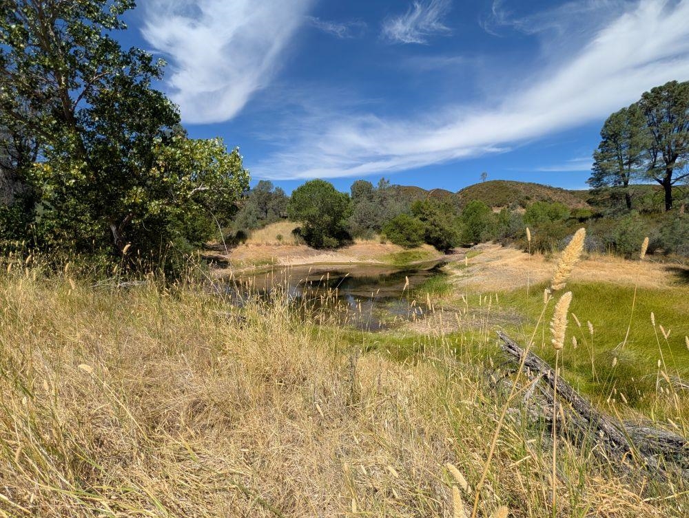 0 Colyear Springs Road Red Bluff, CA 96080 - Photo 9 of 18
