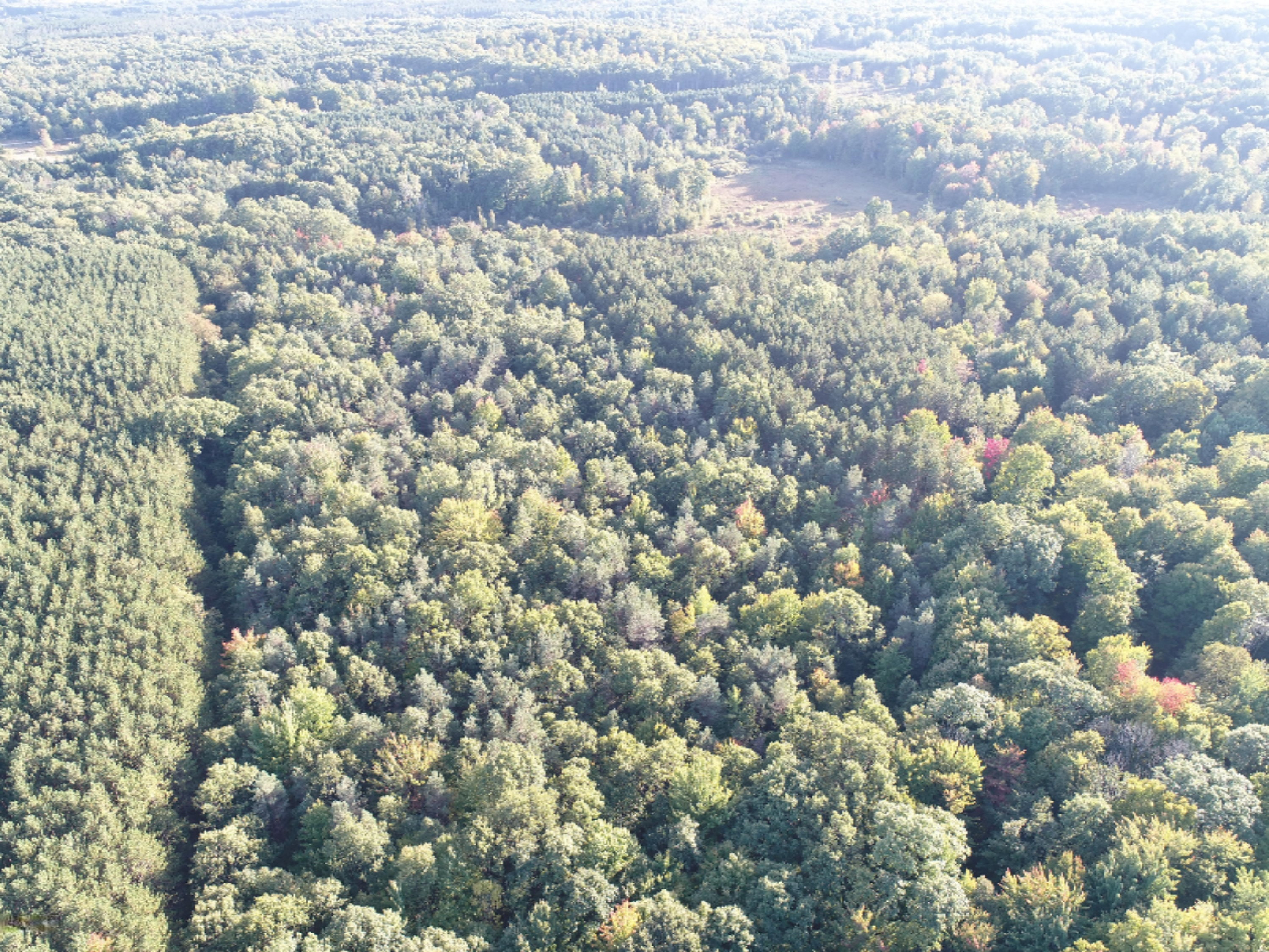 East 24th Street Reed City, MI 49677 - Photo 2 of 7 DJI_0078