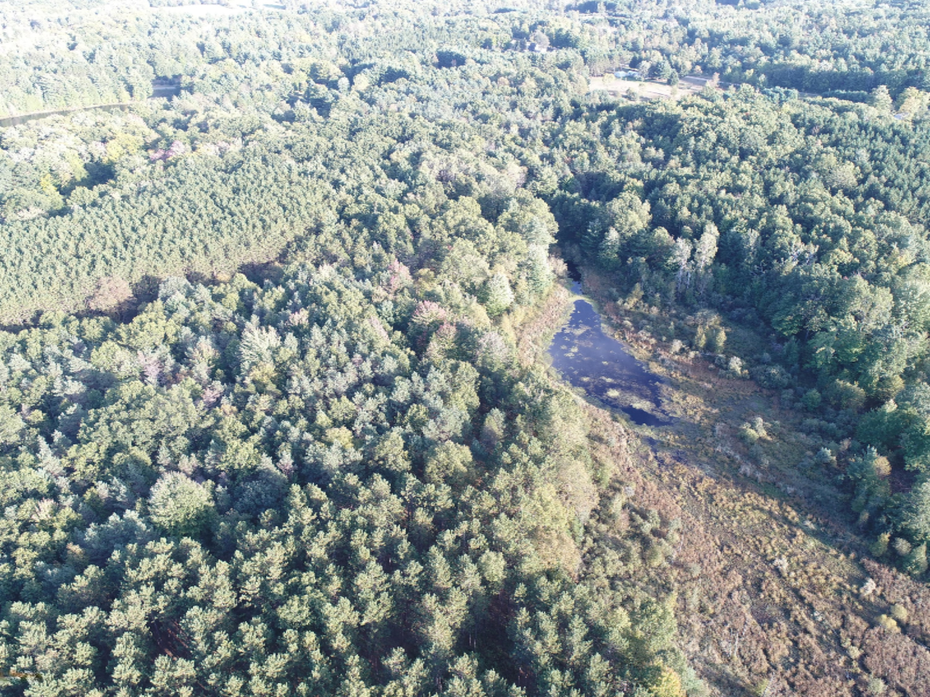 East 24th Street Reed City, MI 49677 - Photo 4 of 7 DJI_0081