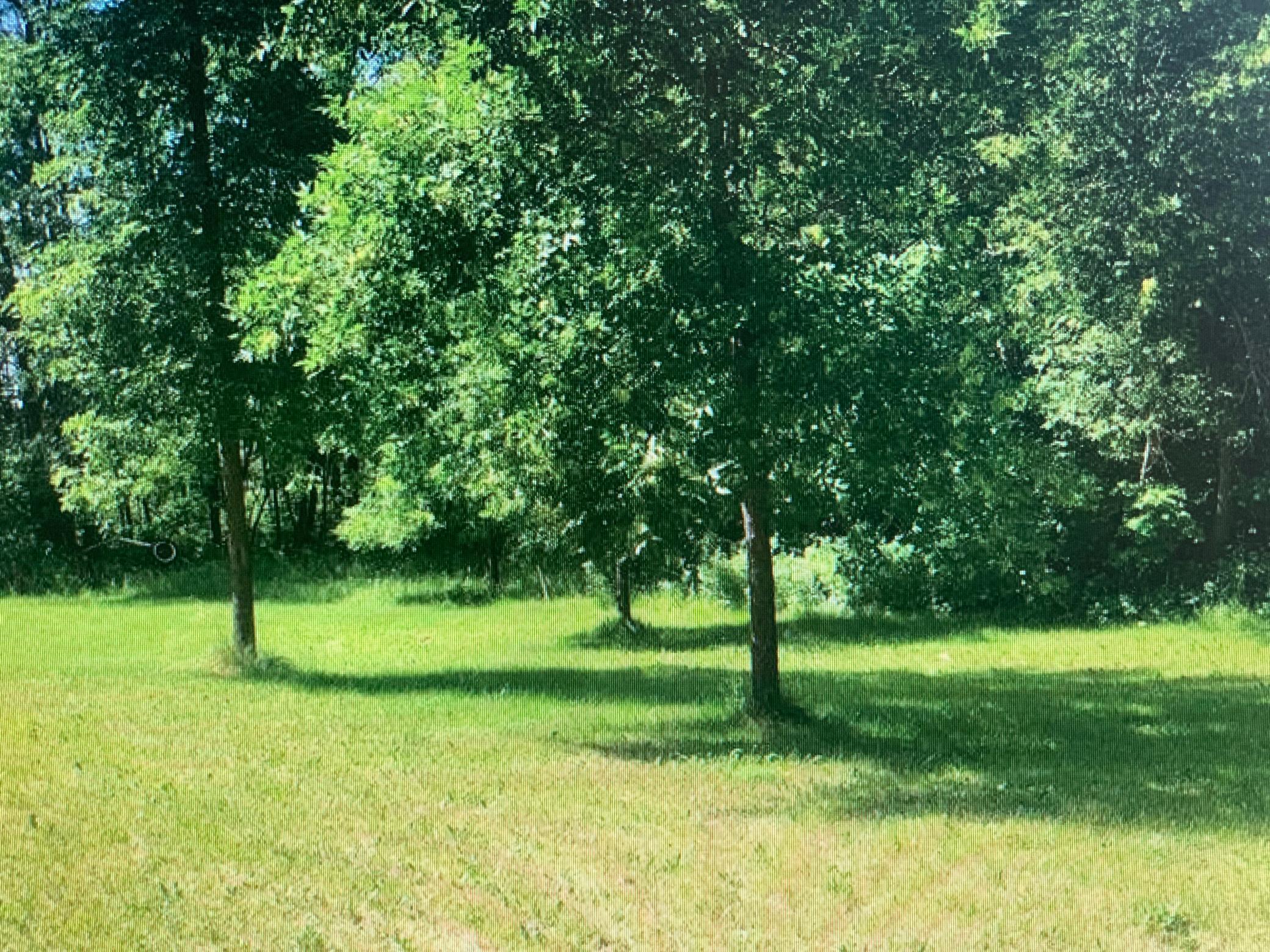Tbd Tbd 388th Onamia, MN 56359 - Photo 26 of 30