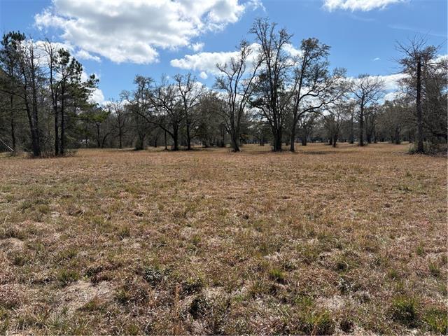 999 Teat Blackwell Road Pearl River, LA 70452 - Photo 1 of 3
