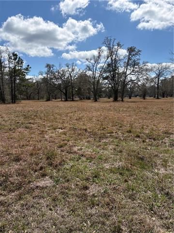 999 Teat Blackwell Road Pearl River, LA 70452 - Photo 2 of 3