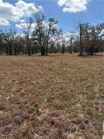 999 Teat Blackwell Road Pearl River, LA 70452 - Photo 3 of 3