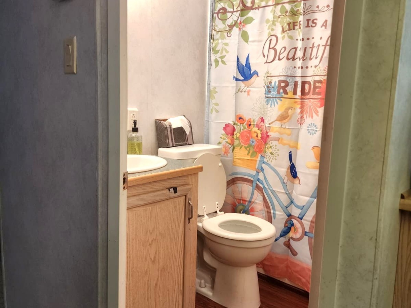 28-21 Woodhaven Sublette, IL 61367 - Photo 23 of 35 a white toilet sitting next to a shower curtain