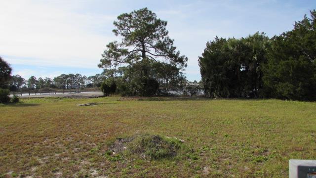 831 Mariners Court Carrabelle, FL 32322 - Photo 2 of 10