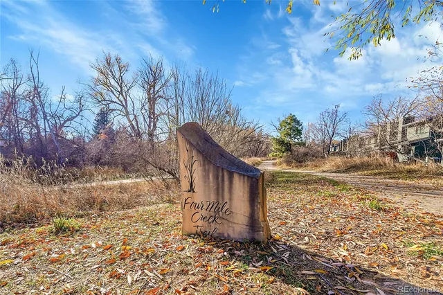 a view of a garden with wooden floor
