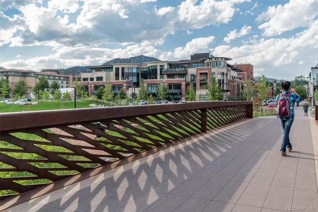 a view of a yard with plants and large trees