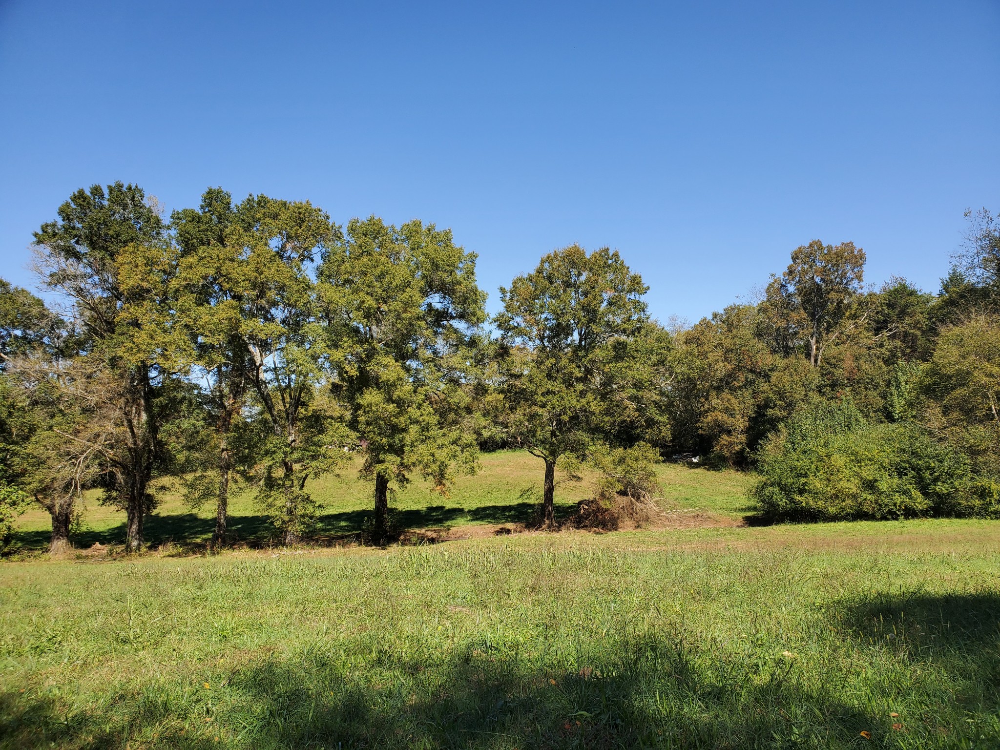 1514 Normandy Road Tullahoma, TN 37388 - Photo 20 of 31