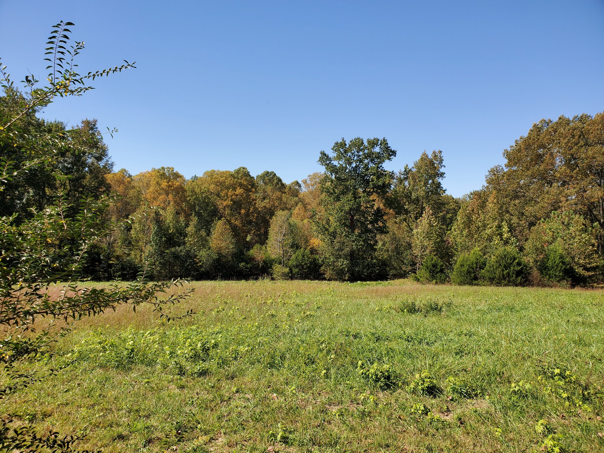 1514 Normandy Road Tullahoma, TN 37388 - Photo 25 of 31