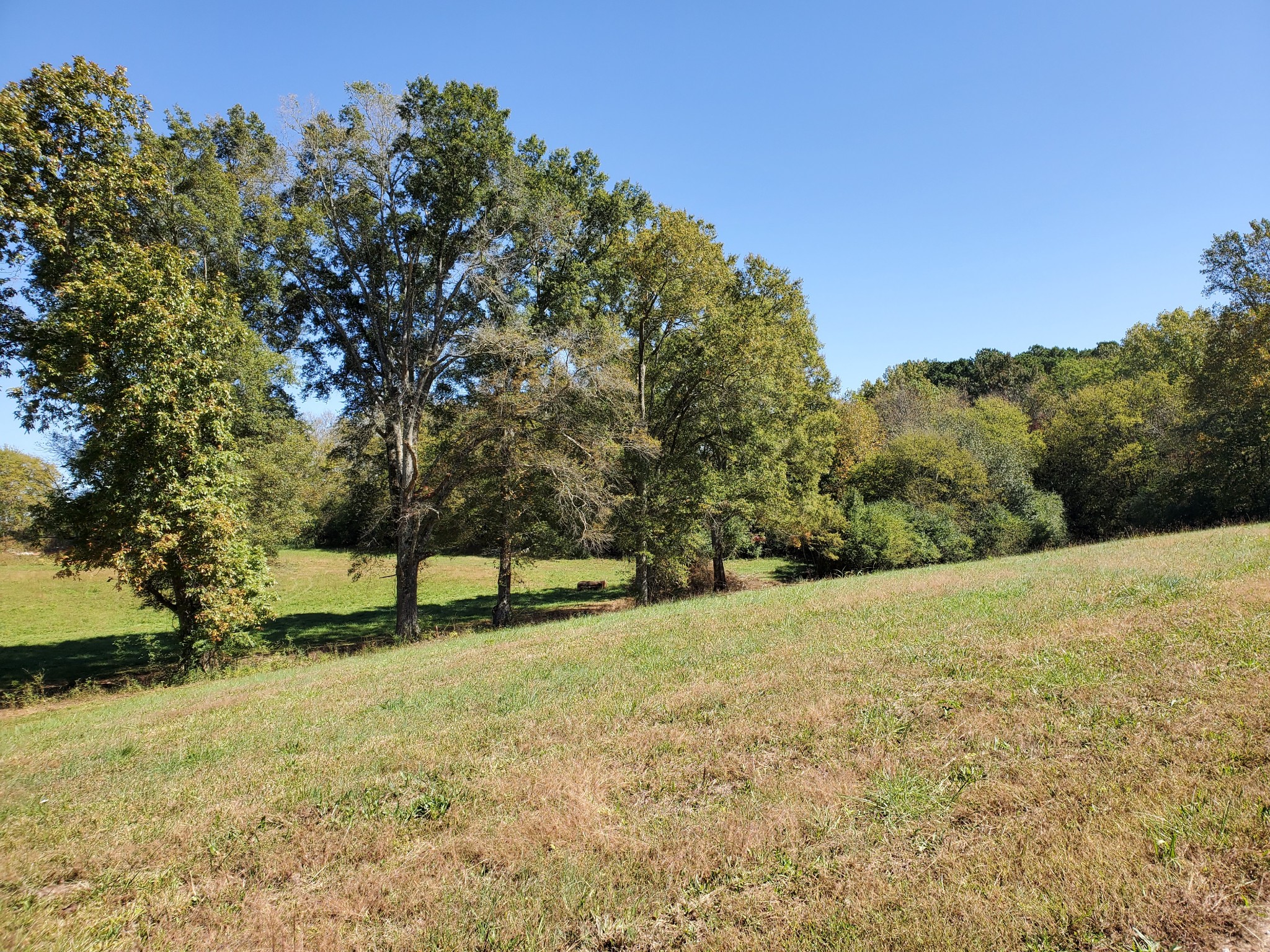 1514 Normandy Road Tullahoma, TN 37388 - Photo 4 of 31