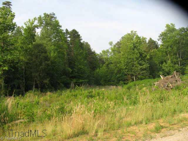 2 Pine Ridge Road Mocksville, NC 27028 - Photo 7 of 8 Other.
