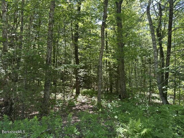Lot108.1 Woodmere Road Becket, MA 01223 - Photo 10 of 11 Interior