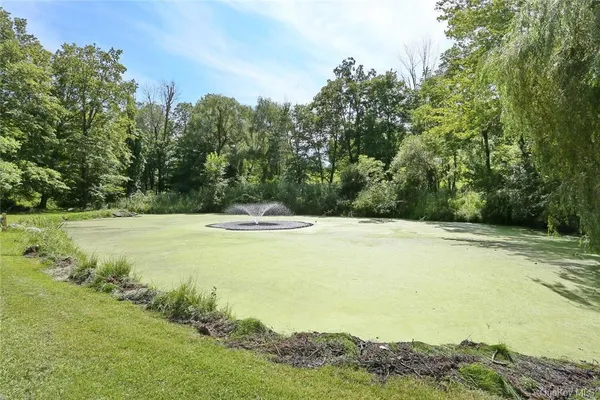 a view of a pool with a yard