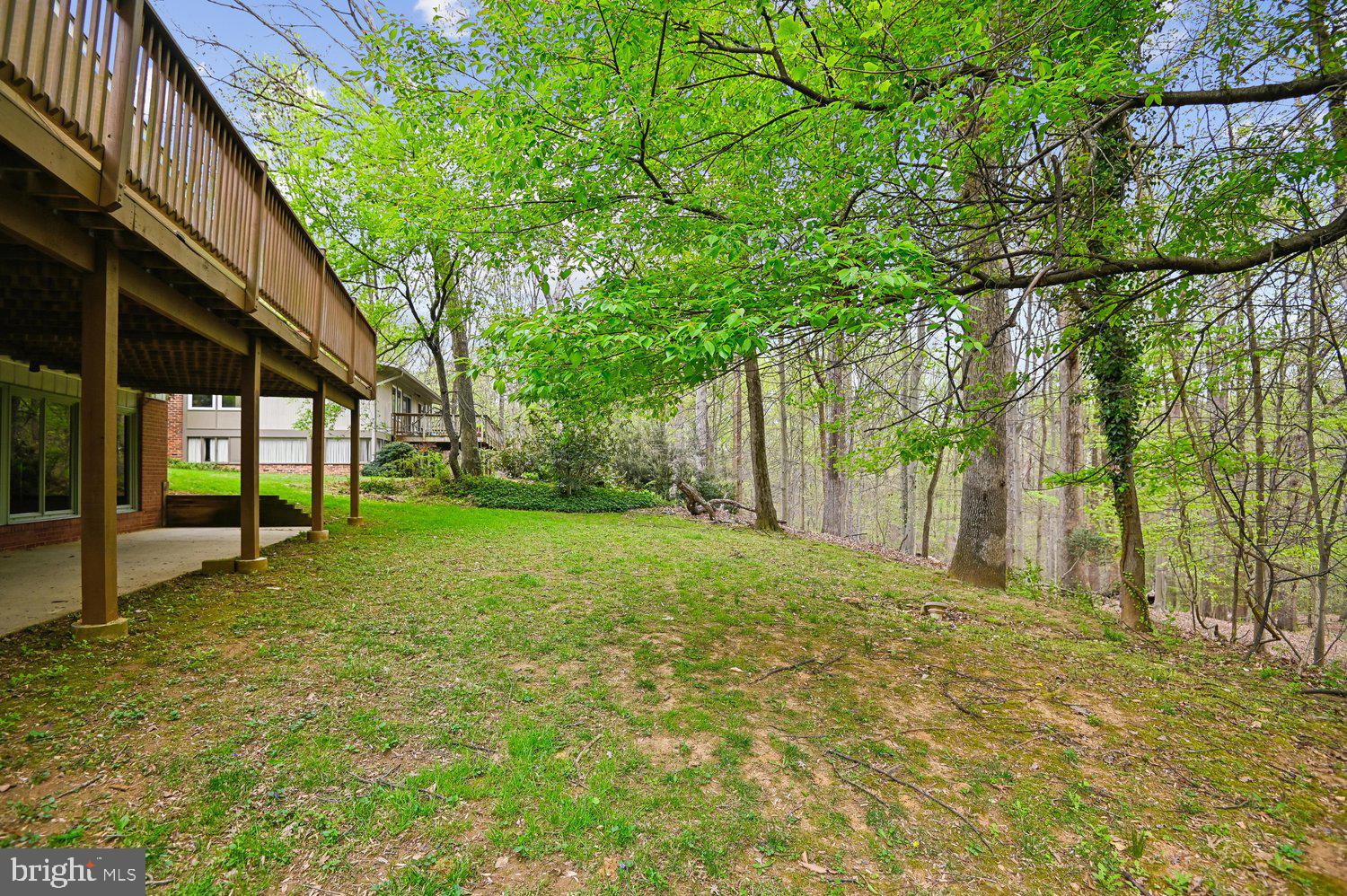 10316 Burnt Ember Drive Silver Spring, MD 20903 - Photo 44 of 56 Back Yard