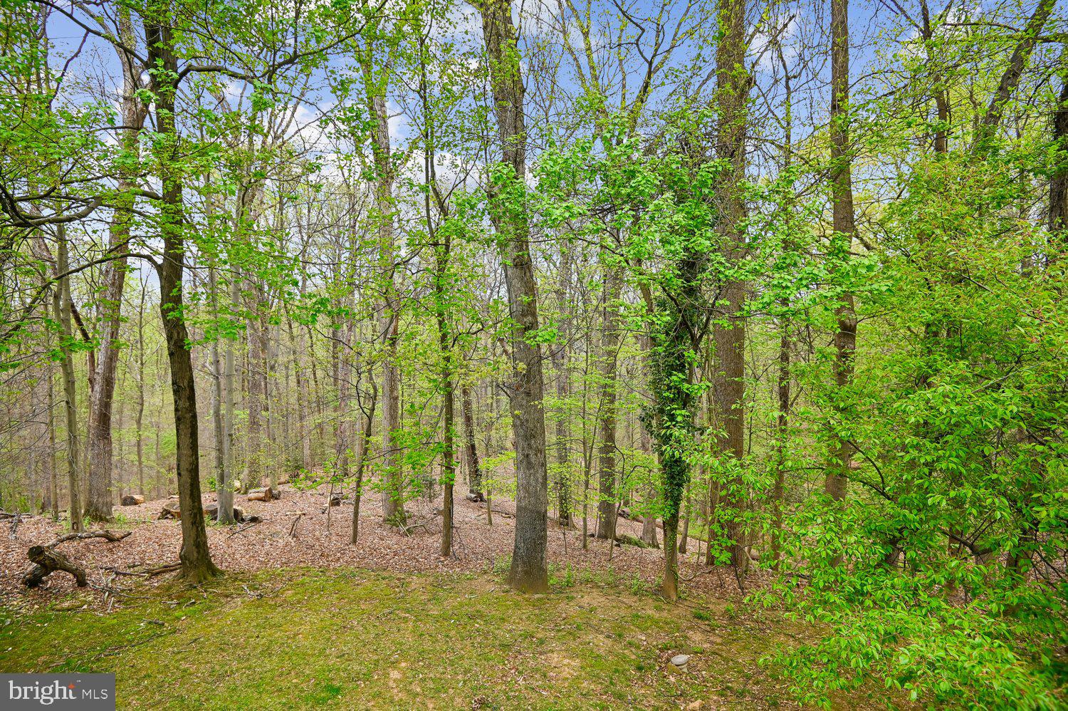 10316 Burnt Ember Drive Silver Spring, MD 20903 - Photo 47 of 56 View