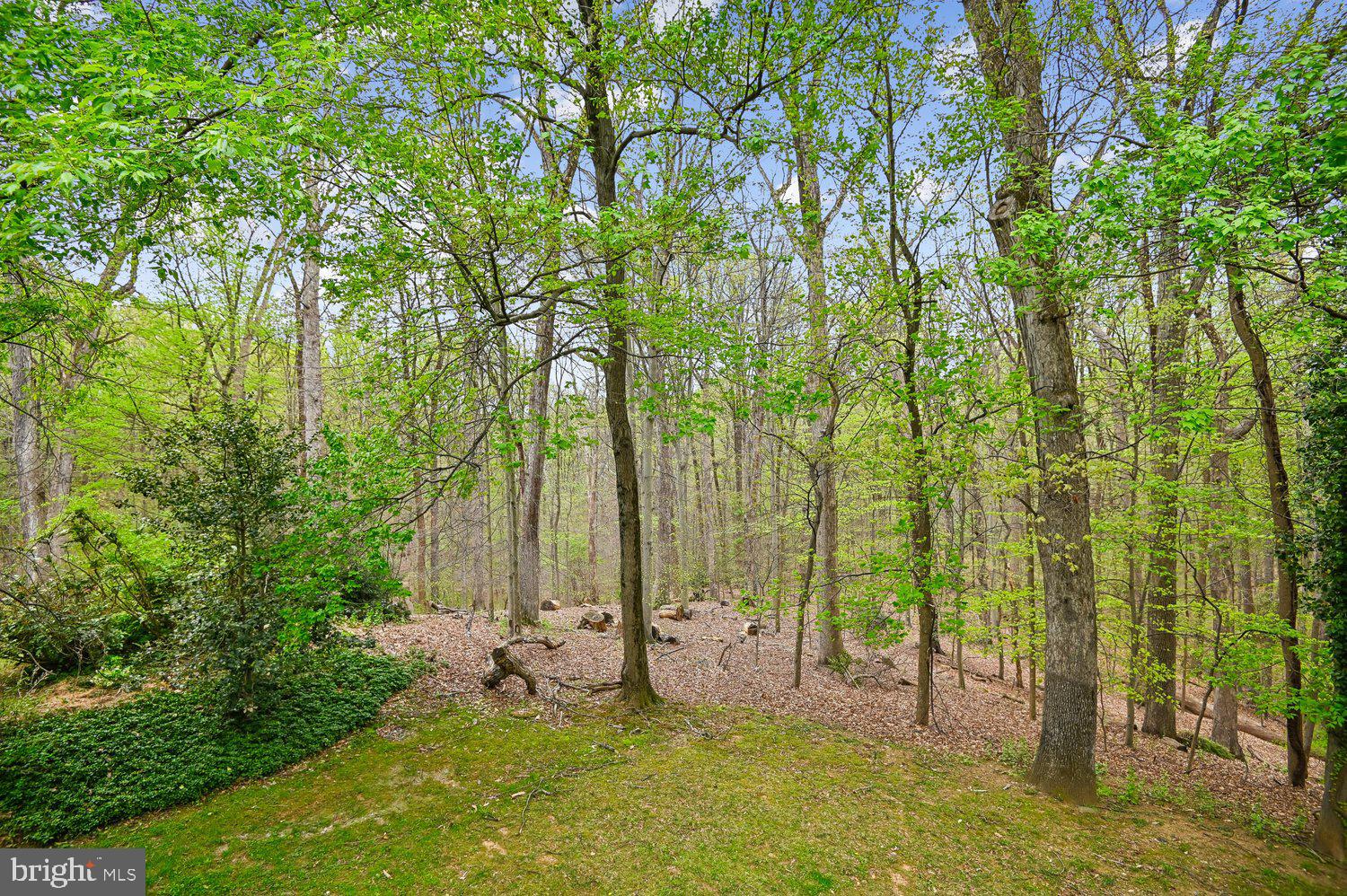 10316 Burnt Ember Drive Silver Spring, MD 20903 - Photo 48 of 56 View